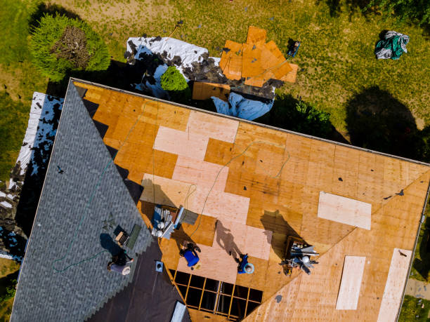 Best Roof Waterproofing Services  in Santa Moni, CA